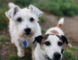 Raumati Vet Centre