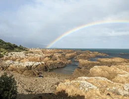 Taputeranga Snorkel Trail