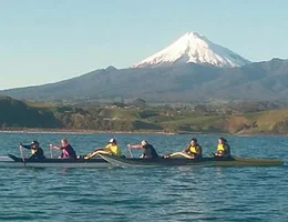 Taranaki Acupuncture and Chinese Medicine