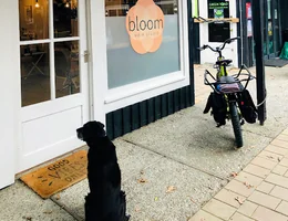 bloom HAIR STUDIO