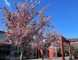 Southern Institute of Technology, Invercargill Campus