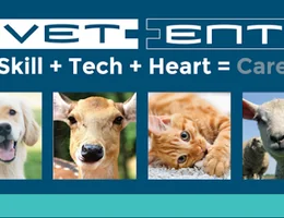 VetEnt and Petfirst Veterinary Aspiring