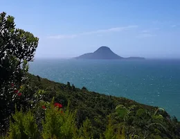 Tauwhare Pa Scenic Reserve