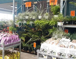 Bunnings Warehouse Blenheim