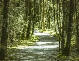 Health Heroes NZ - Snells Beach (Women only)