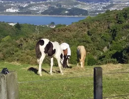 Porirua Wastewater Treatment Plant