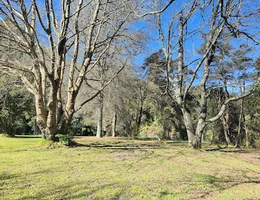 Tarawera Park