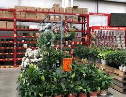 Bunnings Warehouse Lyall Bay