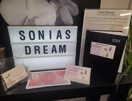 Sonias Dream