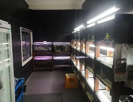 The Fish Room