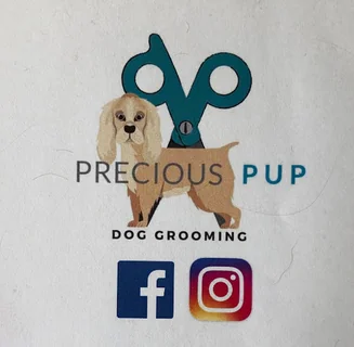 Photo Precious Pup Dog Grooming