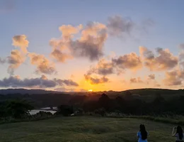 Tauwhare Pa Scenic Reserve