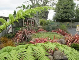 Tikipunga Kindergarten