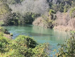 Tarawera Park