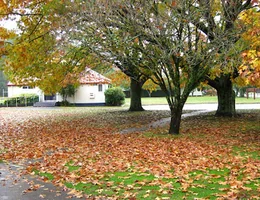 Kawerau South School