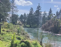 Tarawera Park