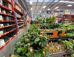 Bunnings Warehouse South Hamilton