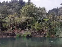 Tarawera Park