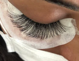 Lush Lashes