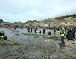 Taputeranga Snorkel Trail