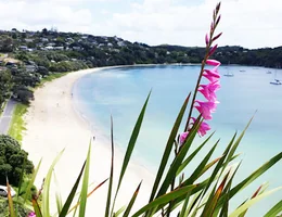 Waiheke Massage