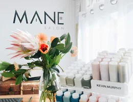 Mane Salon