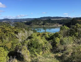 Tauwhare Pa Scenic Reserve