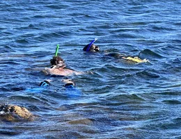 Taputeranga Snorkel Trail