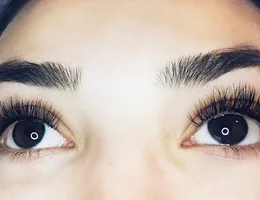 Lash Therapy Salon